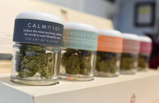 Легалізація конопель: в Раді під ялинку зареєстрували законопроект