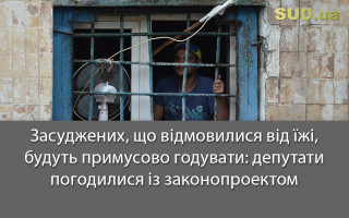 Засуджених, що відмовилися від їжі, будуть примусово годувати: депутати погодилися із законопроектом