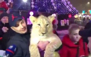 В Харькове мужчина пришел на ярмарку с хищником на поводке, видео