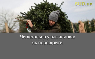 Чи легальна у вас ялинка: як перевірити
