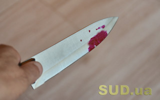 Вбивство за кілька годин до Нового року: під Києвом тесть зарізав зятя