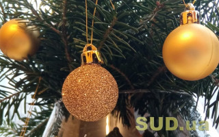 Киевлянам сообщили, куда можно сдать елку на переработку