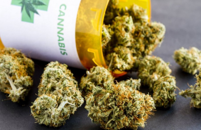 Як і навіщо будуть легалізовувати коноплі: деталі скандального законопроекту