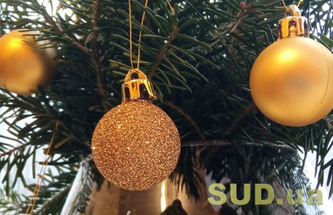 Киевлянам сообщили, куда можно сдать елку на переработку