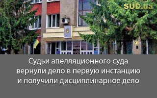 Судьи апелляционного суда вернули дело в первую инстанцию и получили дисциплинарное дело