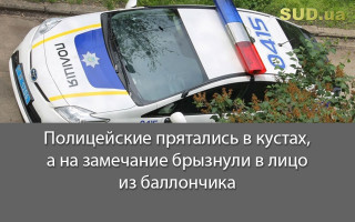 Полицейские прятались в кустах, а на замечание брызнули в лицо из баллончика