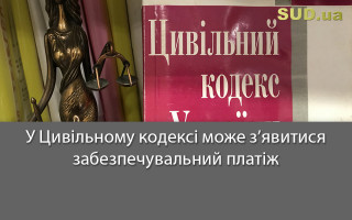 У Цивільному кодексі може з’явитися забезпечувальний платіж
