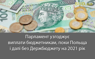 Парламент узгоджує виплати бюджетникам, поки Польща і далі без Держбюджету на 2021 рік