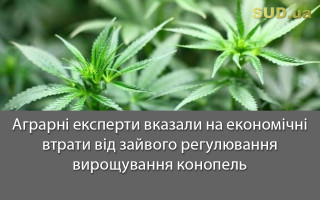 Аграрні експерти вказали на економічні втрати від зайвого регулювання вирощування конопель