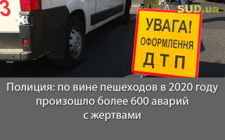 Полиция: по вине пешеходов в 2020 году произошло более 600 аварий с жертвами