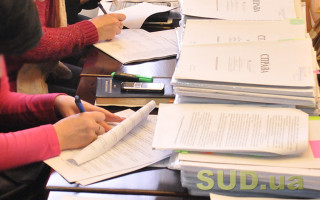 Які документи податківці можуть вимагати від ФОП при перевірках: перелік