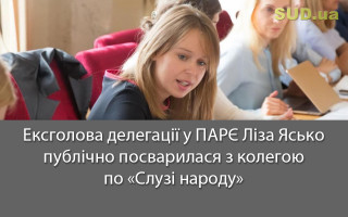 Ексголова делегації у ПАРЄ Ліза Ясько публічно посварилася з колегою по «Слузі народу»