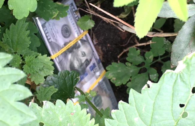 Валютний хабар за сесію: на Житомирщині судитимуть доцента вишу