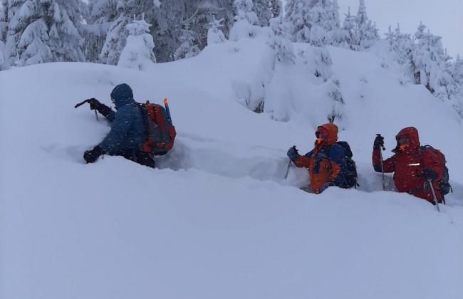 По пояс в снегу: в Карпатах ищут исчезнувшего туриста, фото