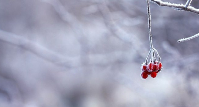 Погода на 16 января: украинцев предупреждают о сильных морозах