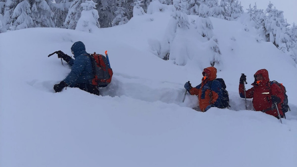 По пояс в снегу: в Карпатах ищут исчезнувшего туриста, фото