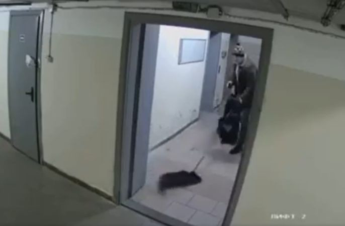 У Києві чоловік жорстоко побив собаку та викинув його на вулицю