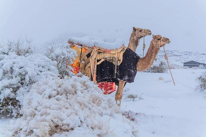 В пустыне Сахара выпал снег: удивительные фото