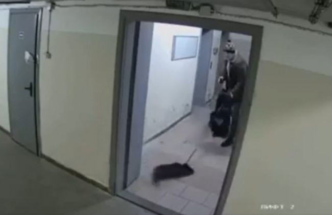 У Києві чоловік жорстоко побив собаку та викинув його на вулицю