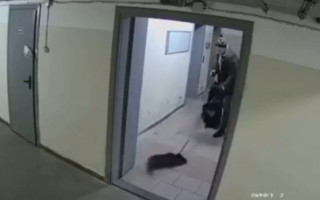 У Києві чоловік жорстоко побив собаку та викинув його на вулицю