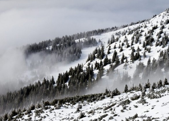 В Карпатах существует угроза схождения лавин