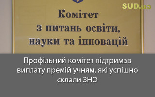 Профільний комітет підтримав виплату премій учням, які успішно склали ЗНО