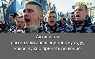Активисты рассказали апелляционному суду, какое нужно принять решение