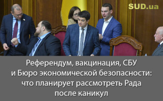 Референдум, вакцинация, СБУ и Бюро экономической безопасности: что планирует рассмотреть Рада после каникул