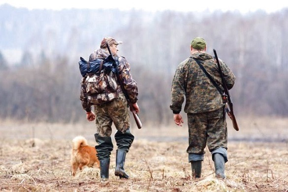 Нестримне бажання постріляти: депутати просувають новий порядок полювання на диких тварин