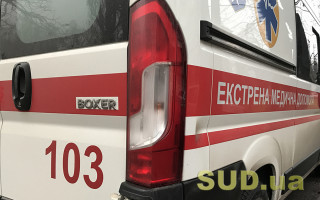 В Тернополе ребенка обстреляли из дробовика во время катания на санках