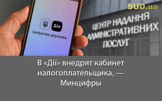 В «Дії» внедрят кабинет налогоплательщика, — Минцифры