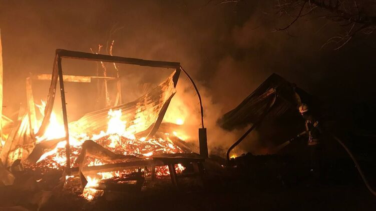 Мощный пожар под Одессой: на базе отдыха сгорели семь домов, фото