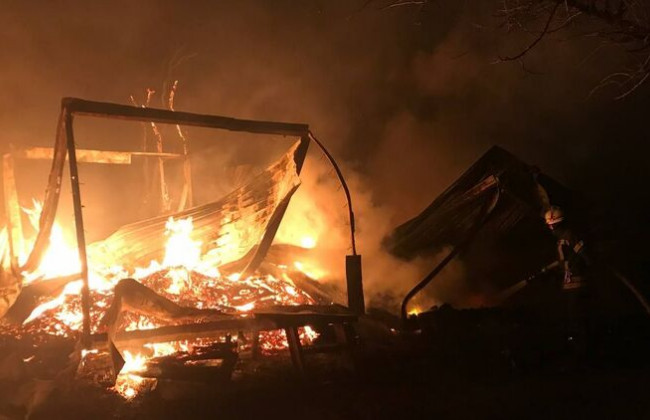 Мощный пожар под Одессой: на базе отдыха сгорели семь домов, фото