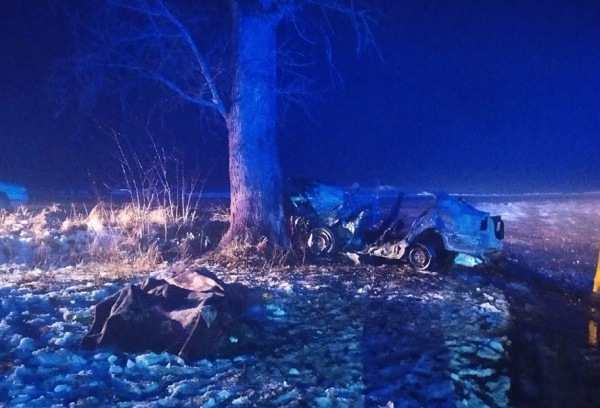 На Житомирщине легковушка влетела в дерево: погибли три человека