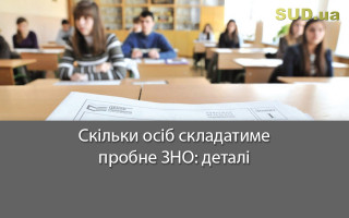 Скільки осіб складатиме пробне ЗНО: деталі