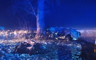На Житомирщине легковушка влетела в дерево: погибли три человека