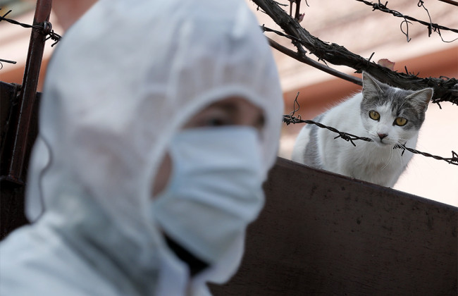 Врач назвала условие, при котором пандемия коронавируса станет неуправляемой