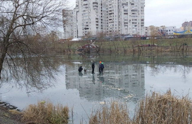 Спасатели сняли со льдины в Киеве 12-летнего мальчика
