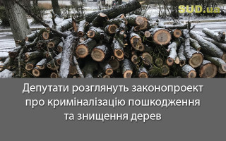 Депутати розглянуть законопроект про криміналізацію пошкодження та знищення дерев