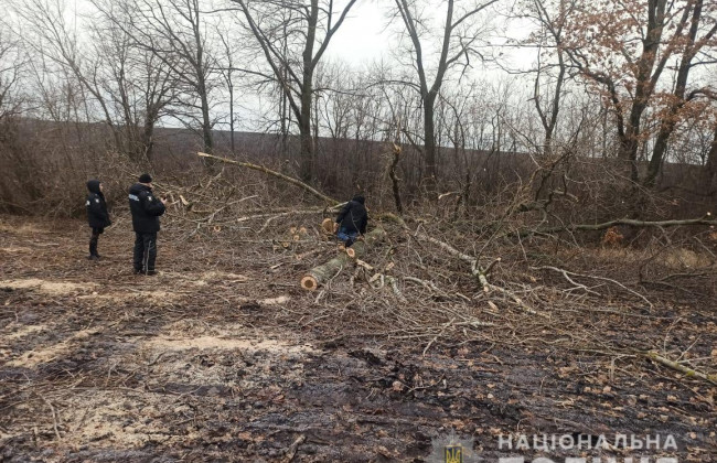 Под Сумами 29-летнего мужчину убило веткой, фото