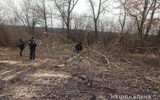 Под Сумами 29-летнего мужчину убило веткой, фото