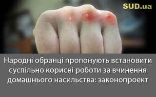 Народні обранці пропонують встановити суспільно корисні роботи за вчинення домашнього насильства: законопроект