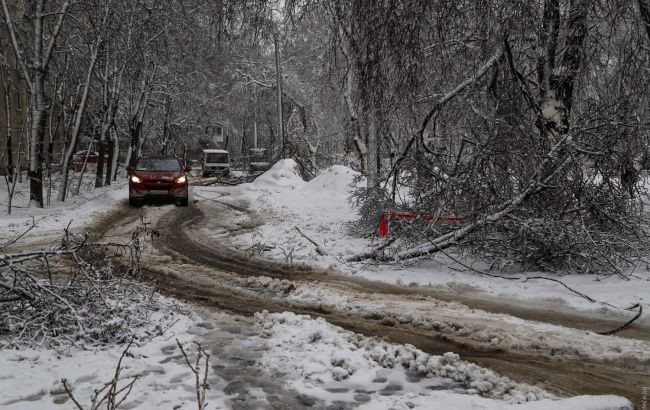 Падение деревьев, обрыв сетей и остановка электротранспорта: в Одессе второй день сильный снегопад