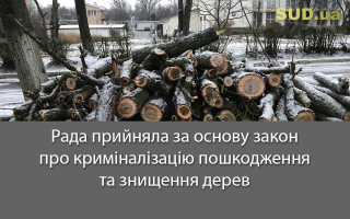 Рада прийняла за основу закон про криміналізацію пошкодження та знищення дерев