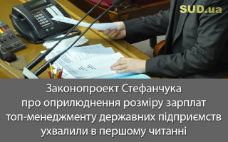 Законопроект Стефанчука про оприлюднення розміру зарплат топ-менеджменту державних підприємств ухвалили в першому читанні