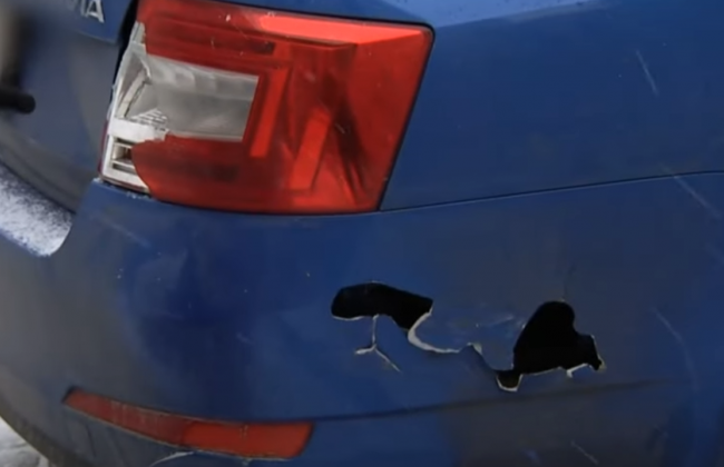 Под Киевом зубр атаковал машину туристов