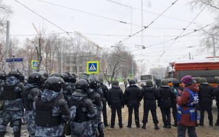 Митинги в России: задержана жена Навального