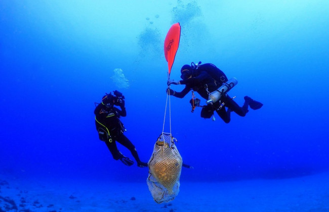 В Греции нашли затонувшие амфоры, которым более 2 000 лет: фото