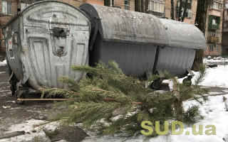 В Киеве из окна выбросили елку на гуляющих детей