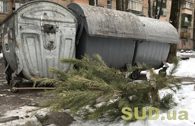 В Киеве из окна выбросили елку на гуляющих детей